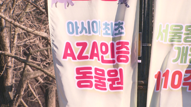서울대공원 동물원은 지난해 9월, 아시아 동물원 최초로 미국동물원수족관협회(AZA) 인증을 획득했다. 당시 동물원 측은 “대한민국 동물원이 동물복지 수준을 세계에서 인정받고 세계 속의 선진 동물원이 된 매우 뜻깊은 일”이라고 홍보했다.
