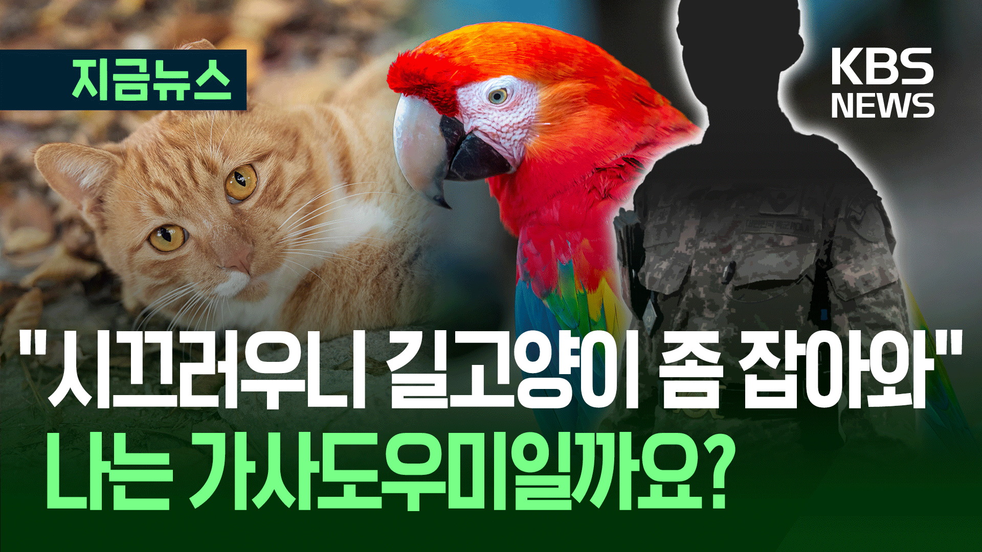 박정택 수도군단장 갑질 의혹 …“사모 수영강습, 부하직원이 ‘오픈런’”