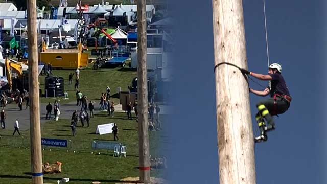 ‘인간 다람쥐’들의 대결…높이 25m 나무 기둥 오르기 대회