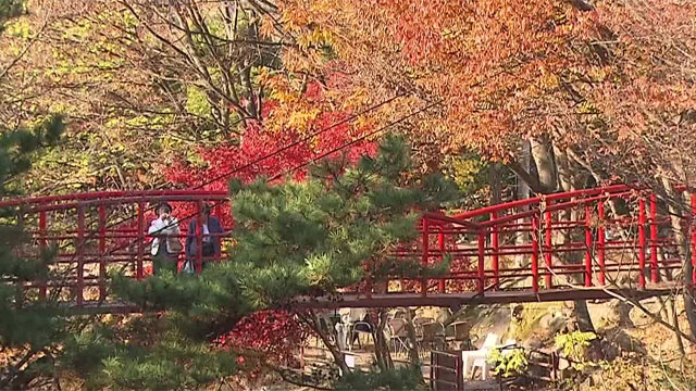 한 달 느린 날씨…다음 주 추위 지나고 제자리 찾아