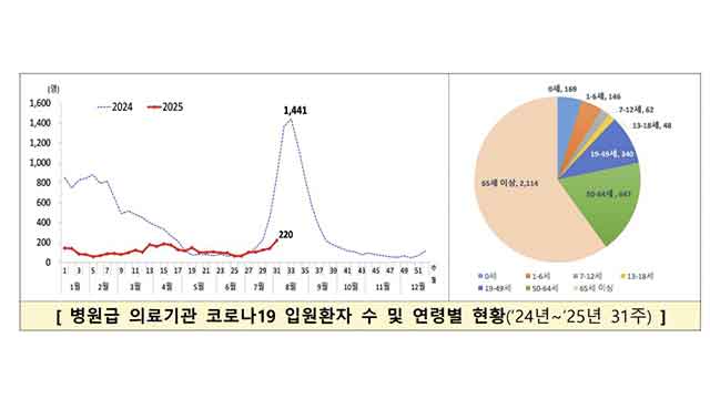 코로나19 입원환자 4주간 2배 급증…“8월까지 증가세”